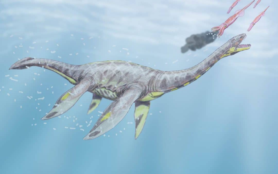Das Monster von Loch Ness ist ein Süßwasser-Dino